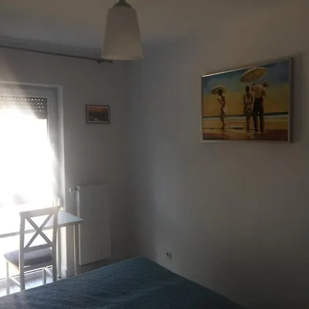 44 Pogo *